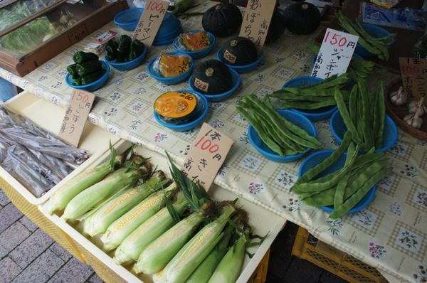 高知観光の穴場 県庁前の露天市 木曜市 に足を運ぼう Kochi Curated 高知をまとめる 高知観光の穴場 県庁前の露天市 木曜市 に足を運ぼう Kochi Curated 高知をまとめる
