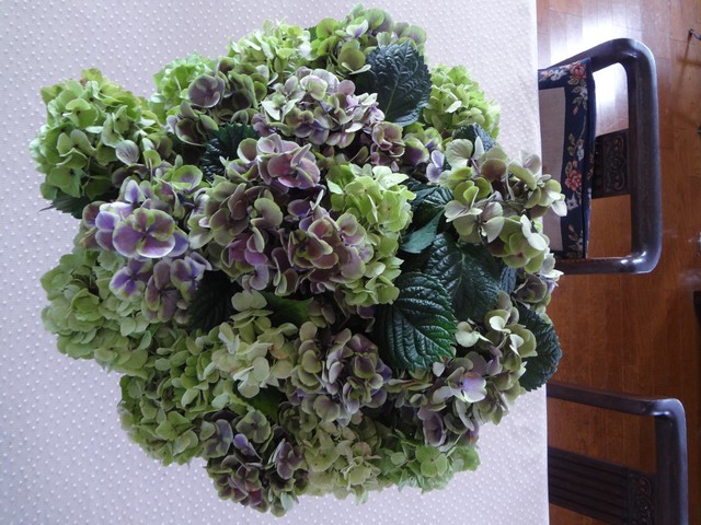 ジャックデコ 好みか マチルダ 趣味か 加茂花菖蒲園か Tea Salon A Primrose 食憧楽