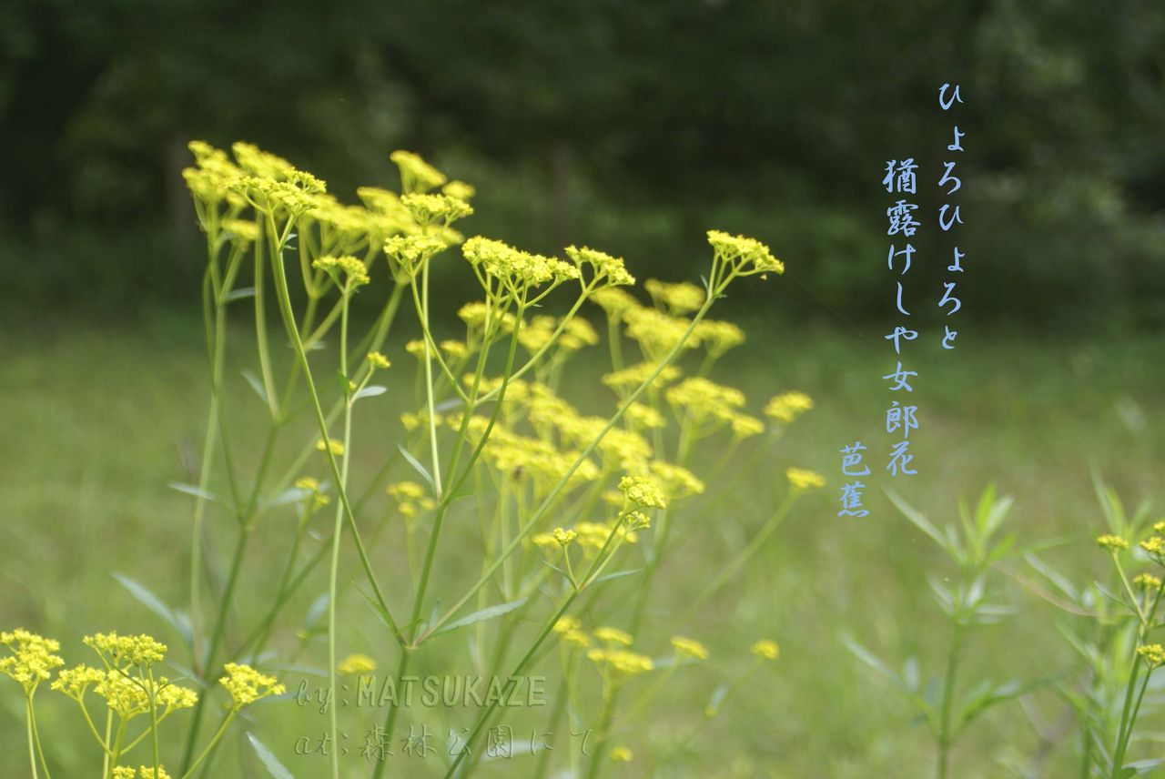 一日ぶり そして ワンちゃん ママン奮闘記