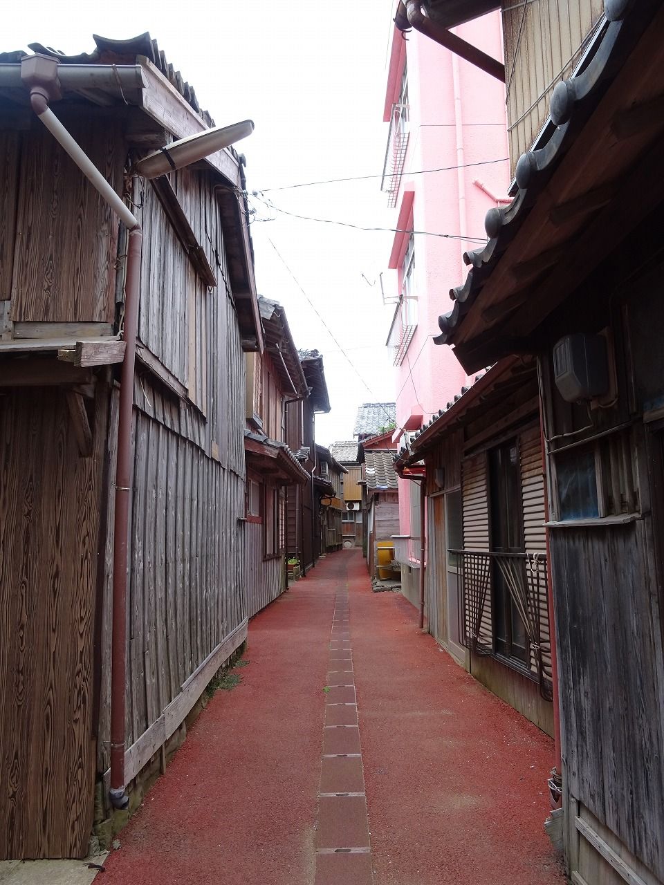 一日ぶり そして ワンちゃん ママン奮闘記