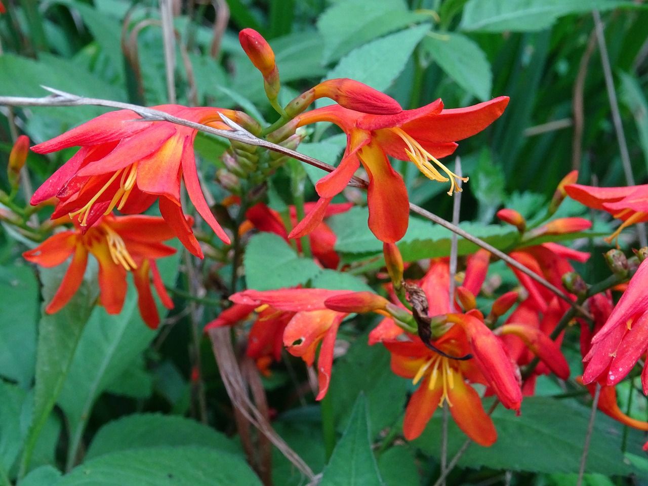 一日ぶり そして ワンちゃん ママン奮闘記
