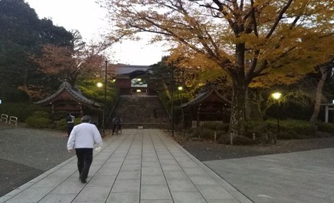 護国寺2