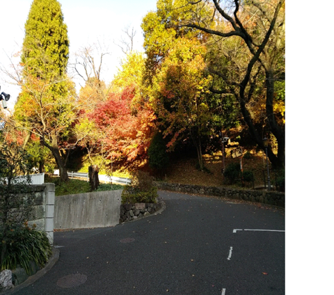 鳩山会館アプローチ