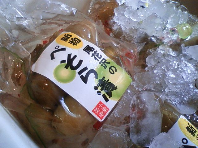 ぺそら漬け 漬物専門店 築地 中川屋