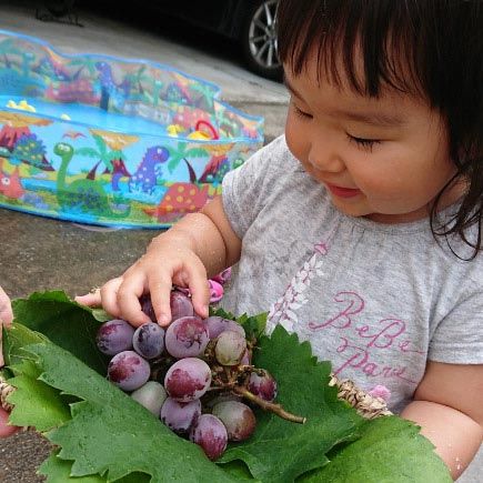 dsc_0463_edited