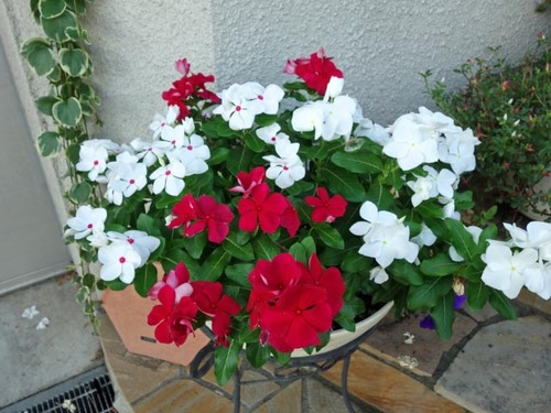 dsc03980_edited