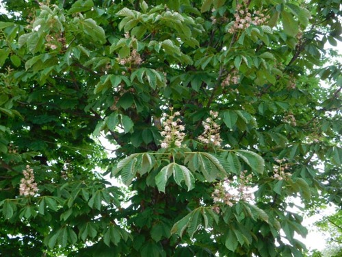 dscn2251