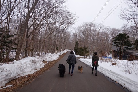 正露丸飲んで函館テニス 鹿部散歩