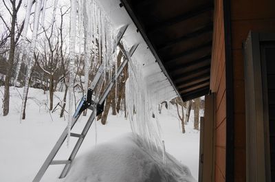 20150220ice1.jpg