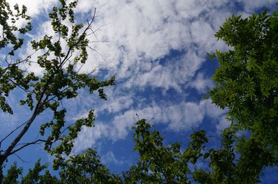 20160715sky.jpg