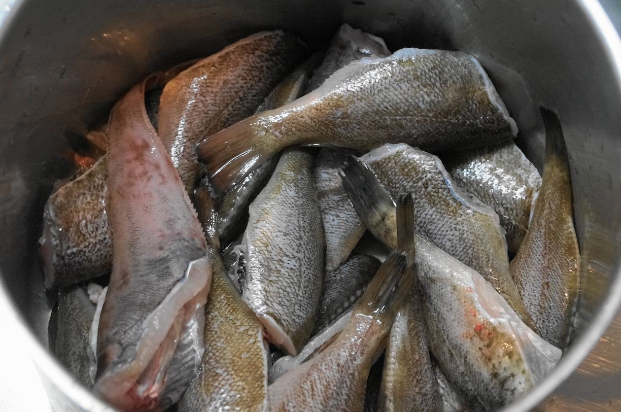 チカ釣りと穴釣り 鹿部散歩