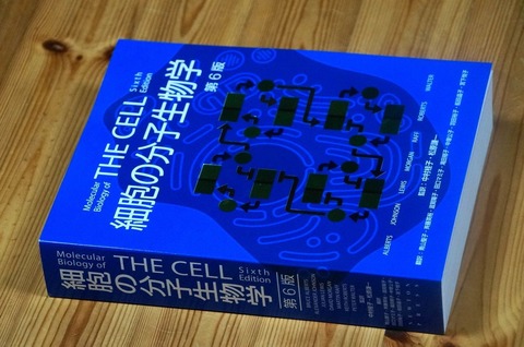 20190819TheCell