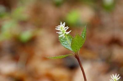 20110522hitorisizuka.jpg