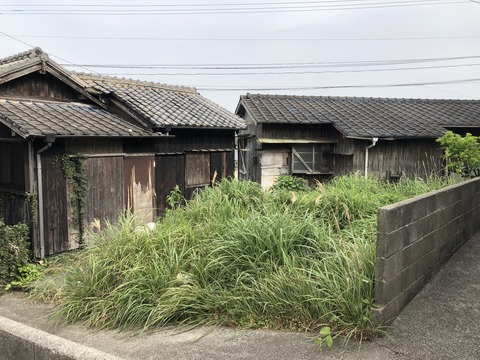 写真 2018-04-16 15 53 24 (1)