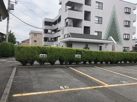写真 2019-08-27 10 56 53