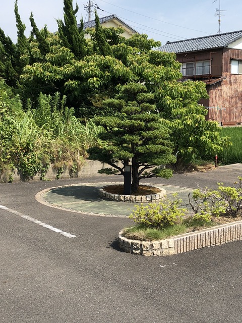 写真 2018-07-25 14 29 22