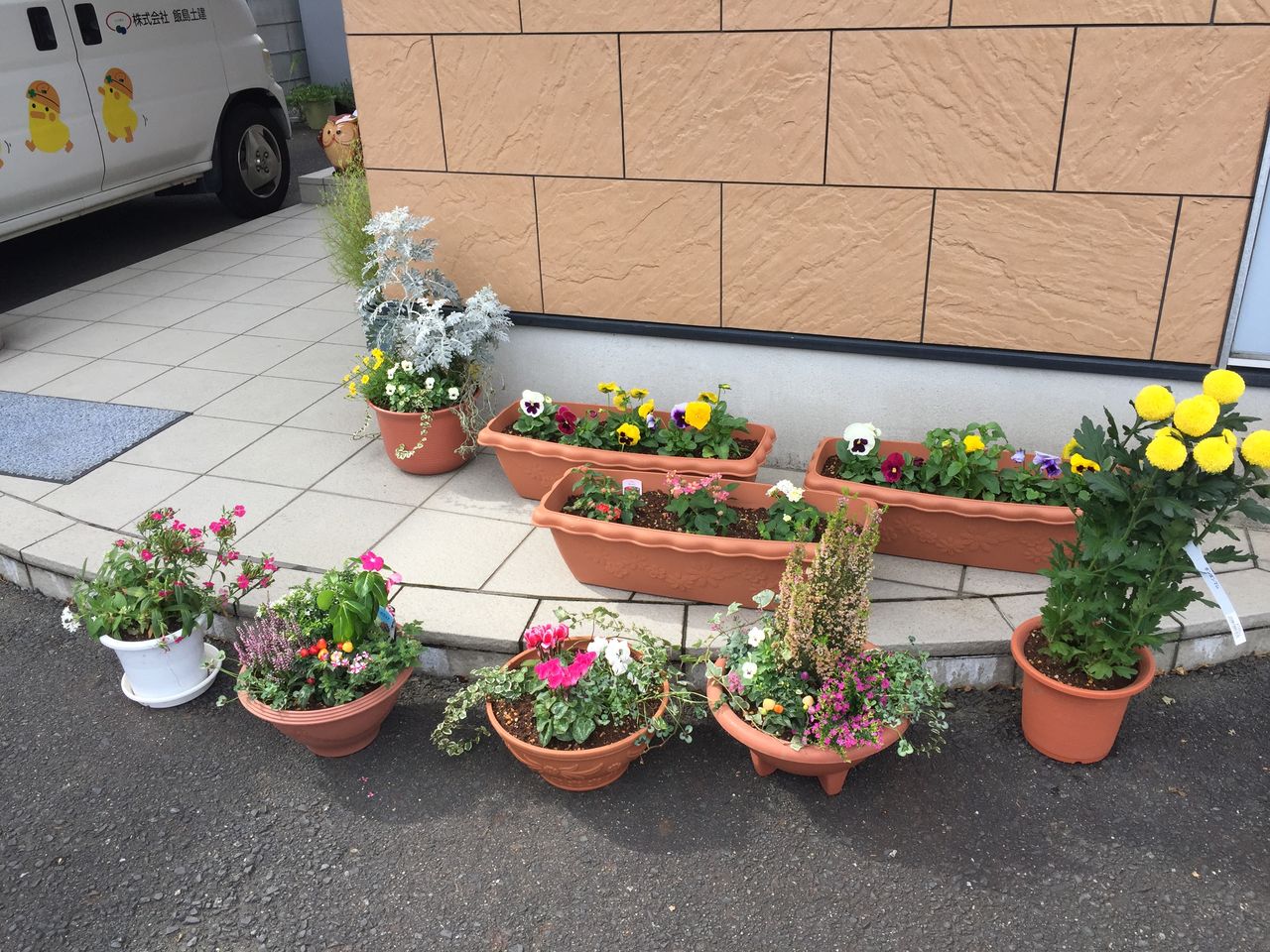 花の植え替えをしました 飯島土建 社長のブログ