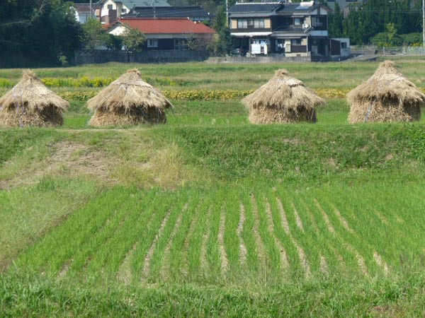 こんな町に越してきた3 : としゃくのある風景