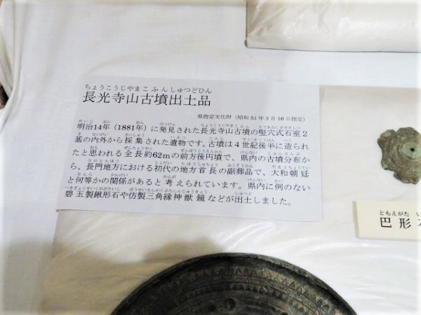 IMG_0172 (3)T