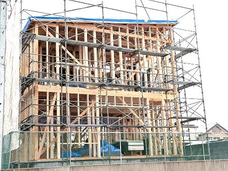 PXL_20260123_234825432