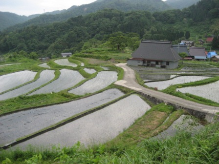 �Ŀ����売