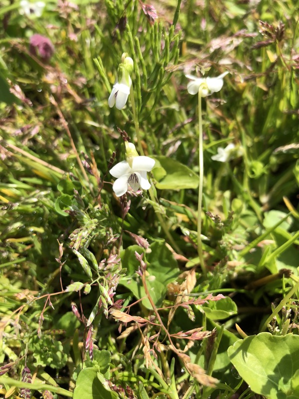 7B593C04-E9D7-44DD-973D-85733618D942