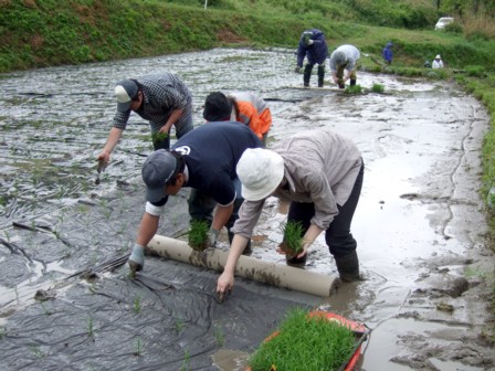 田植え体験会