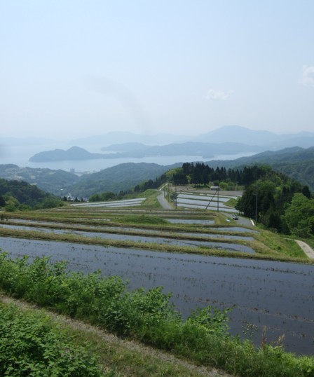専門料理取材5