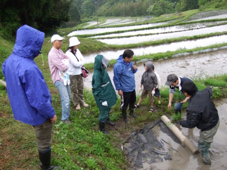 0519田植え