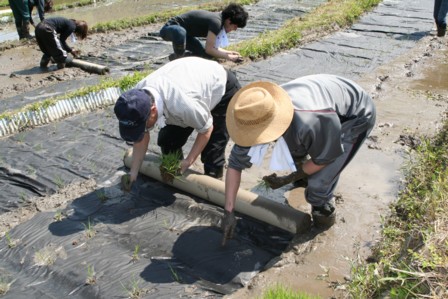 08田植え体験会8