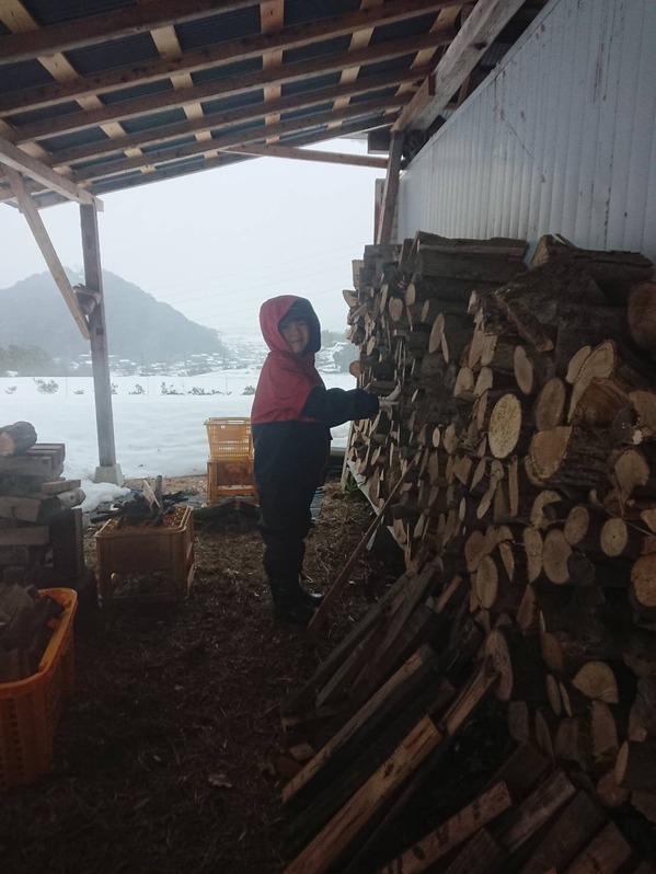 2FCE8FF2-BFA6-4920-B618-B70DA886E744