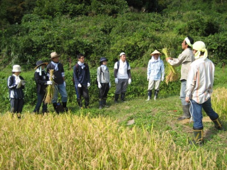 �ΣУϥ��٥�ȣ�