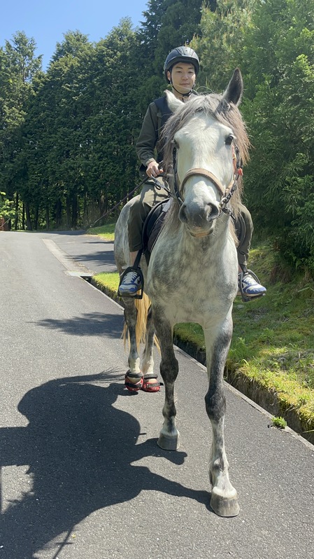 F7814F7E-8EC1-4023-83A5-9E30E4C1FF01