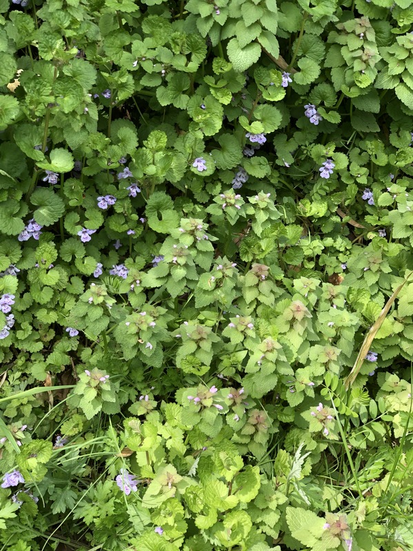 9BABACF2-2746-49E3-BA66-593E297180EE