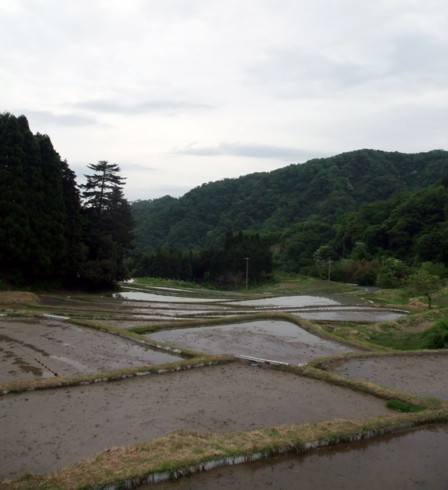 09田植え体験会