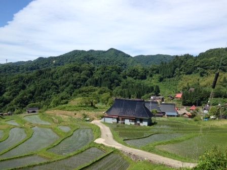 棚田1