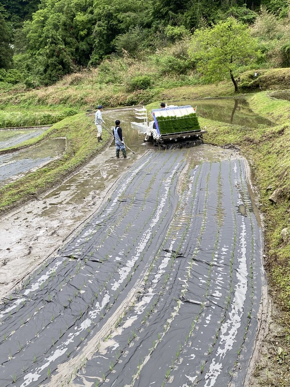 341C5057-6F27-45BB-9CD4-2B4D3C2CEE73