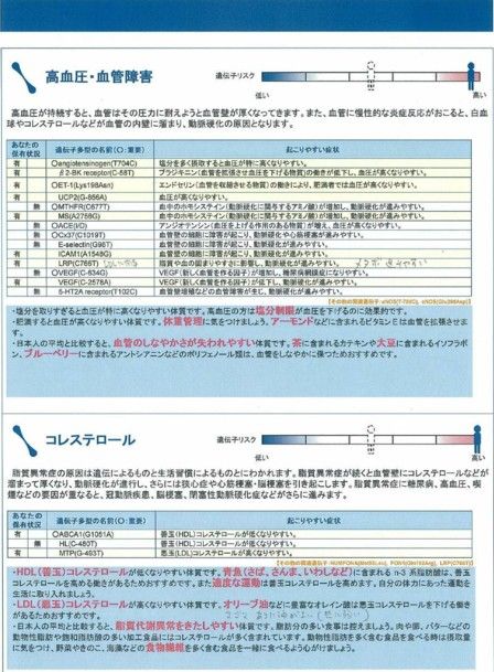 遺伝子検査結果3