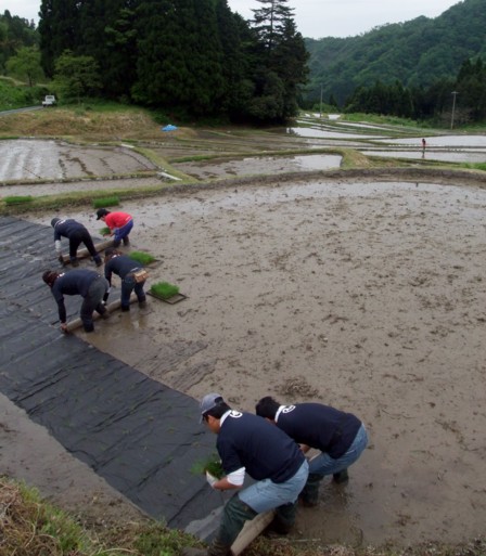 09田植え体験会4