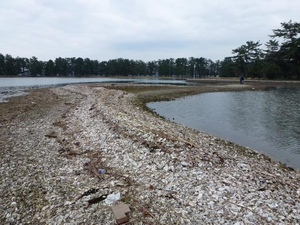 9A375FEC-6434-4CEB-82BB-BC1541FA8DE2