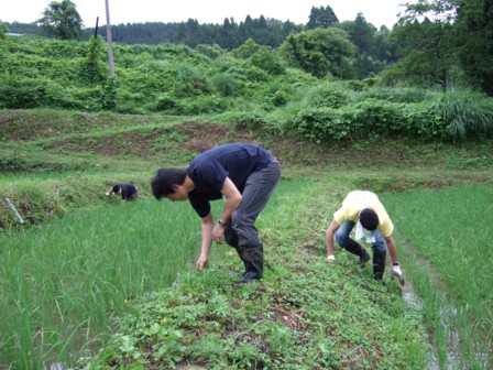 山田製油さん見学5