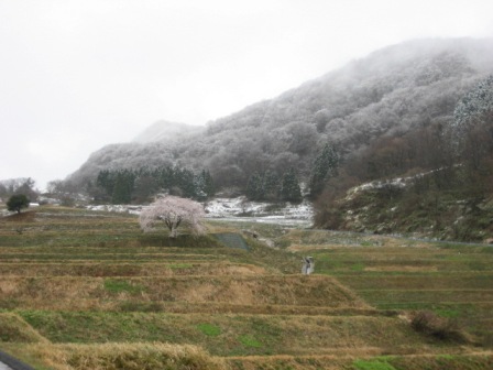 降雪2