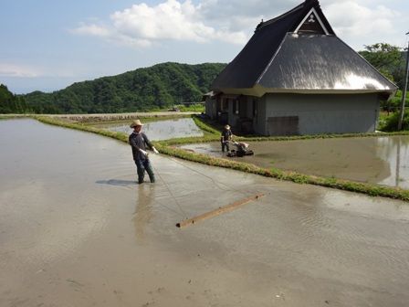 田植え準備1