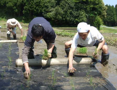 08田植え体験会9