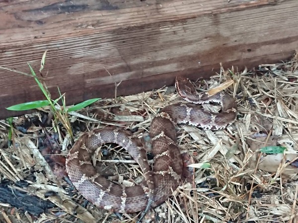 7502CC0A-ACAA-440C-BD5C-EBE52AEF889B