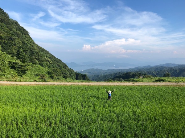 除草2