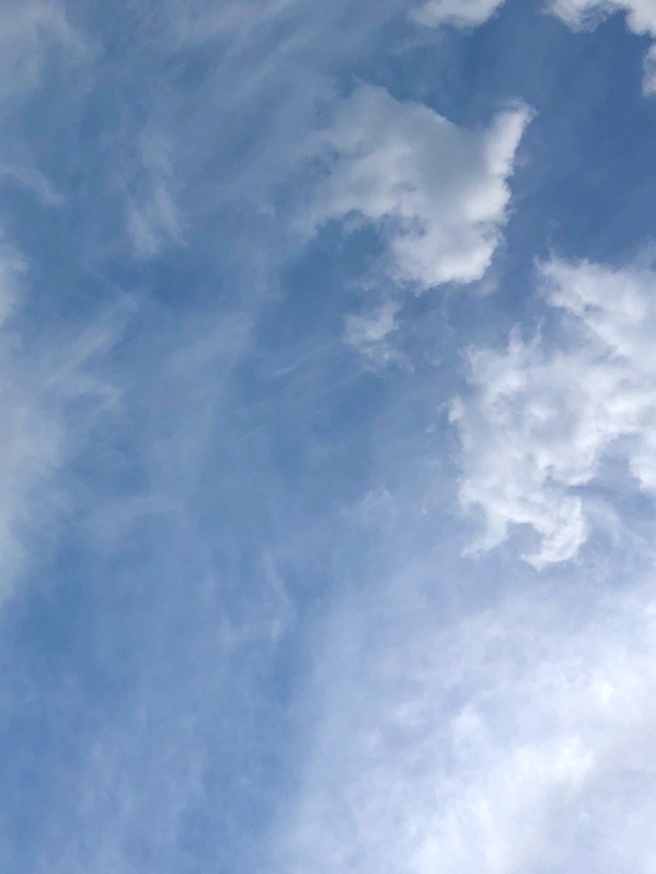 A1D5C2D2-F957-476D-98AD-04D487795C12