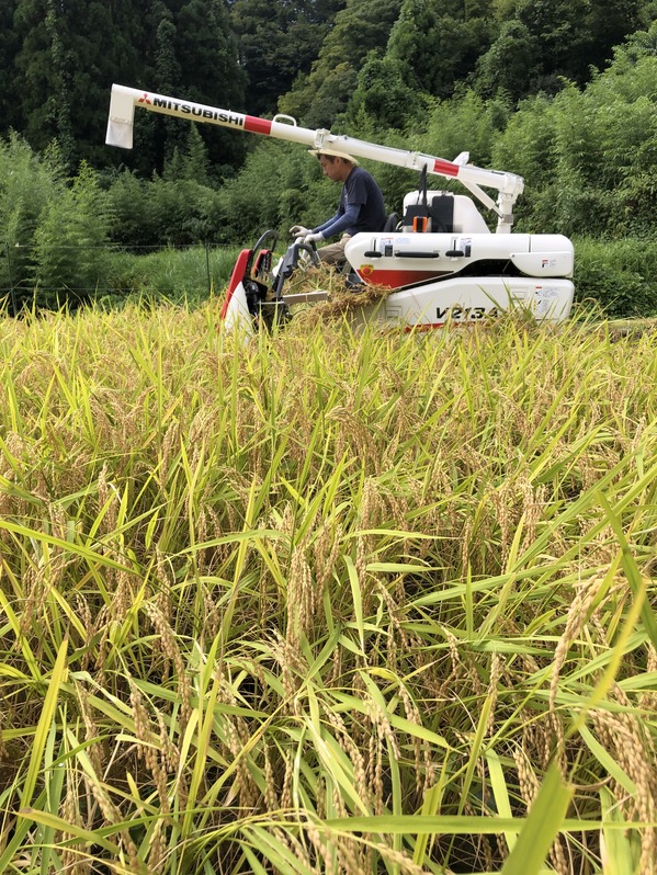 6A12E544-3024-48F1-9C9F-47868428C837