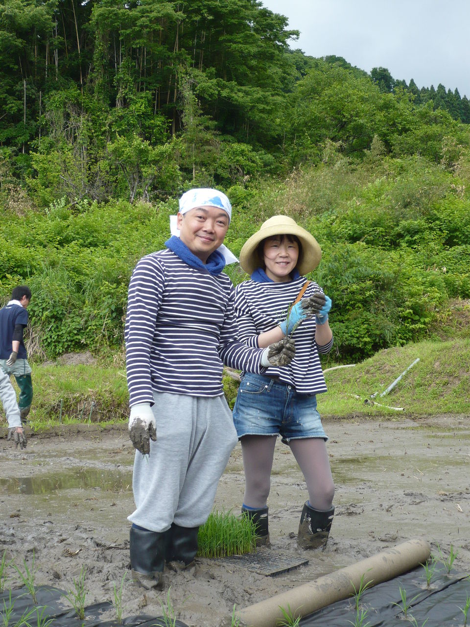 田植え の 服装