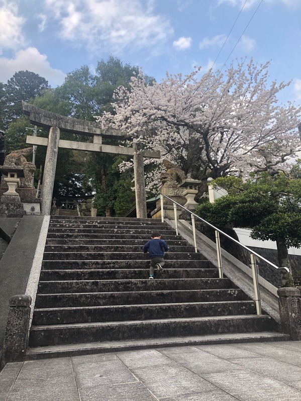 ブログ用1